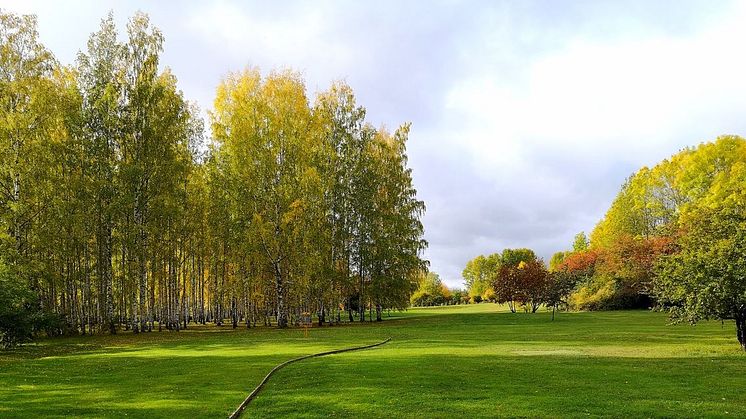 Varierad växtlighet, välhållna öppna ytor och fantastiska landskapsrum möter besökaren i Järva DiscGolfPark.