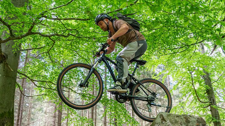_DSC0398.jpg