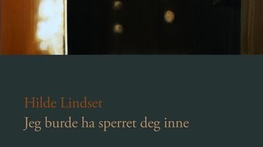 Omslag Jeg burde ha sperret deg inne