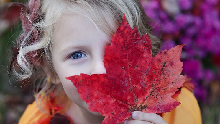 Mange foreldre venter lenge med å sende barnet til en synsundersøkelse. Foto: Unsplash