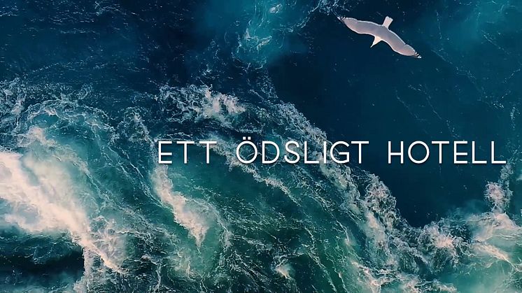 En hamn i stormen av Birgitta Bergin