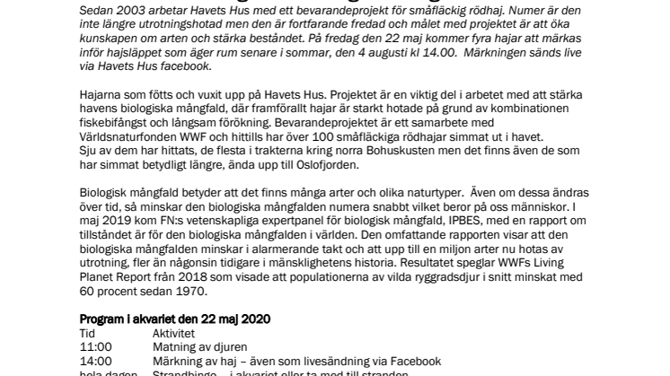 Märkning av hajar på fredag kl 14.00 i samband med den internationella dagen för biologisk mångfald