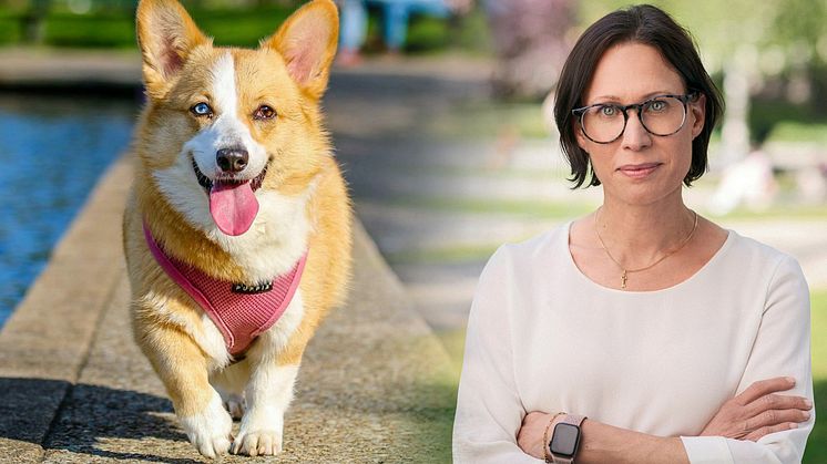 Åsa Hauer, försäkringsexpert på Zmarta, ger råd om rätt hundförsäkring för dina behov.