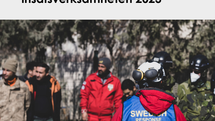 Årsrapport för insatsverksamheten 2023.pdf