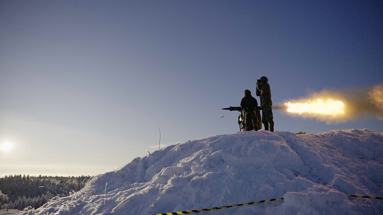 Swedish Armed Forces