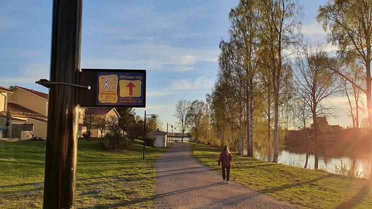 Ny sträckning för Hälsans stig i centrala Skellefteå. Den går som en sju kilometer lång slinga på södra och norra sidan om Skellefteälven mellan Lejonströmsbron i väster och Älvsbackabron i öster.