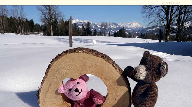 Mit Bärenherz durchs Jahr -  Der neue Bärenherz-Kalender ist da