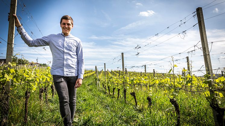 Barolo Massimo Rivetti årgång 2019 landar nu i Systembolagets Fasta sortiment: ﻿﻿Nr 20055 · Lättare glasflaska · 750 ml · 14 % · Pris: 295 kr.