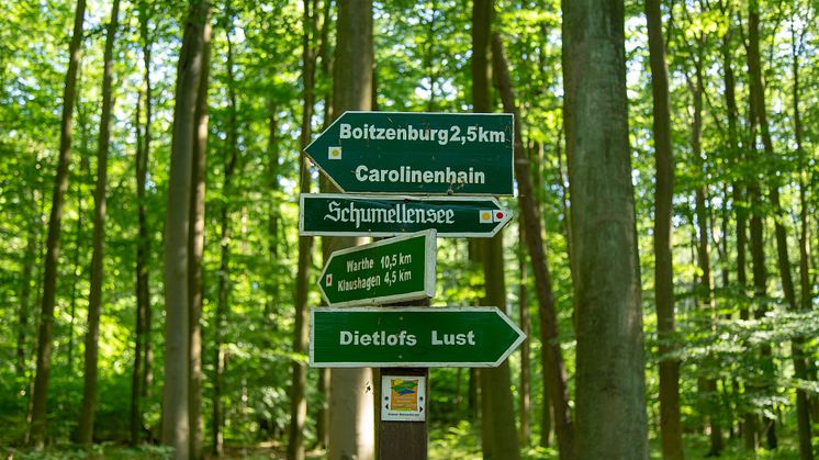 Mit rund 150 Kilometern ist die Uckermärker Landrunde der längste Rundwanderweg von sieben Qualitätswanderwegen in Brandenburg. Foto: TMB-Fotoarchiv/Steffen Lehmann.