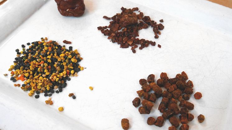 Propolis, bibröd, och pollen