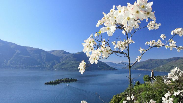 Frühlingswandern am Lago Maggiore (c) Ticino Turismo / Christof Sonderegger