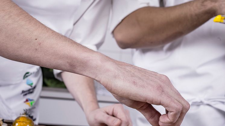 Adam Dahlberg Bocuse d'Or 2013