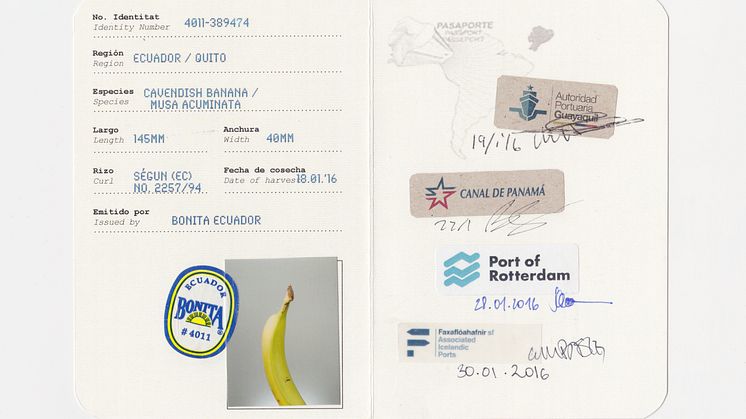 CARGO - Banana Passport