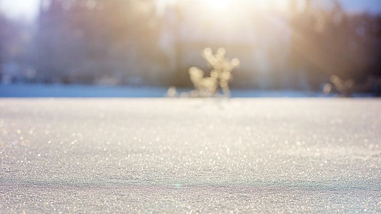 Utöver att dela ut finalbiljetter kommer inom projektet besök att göras i SFI-klasser för att bland annat berätta om bandy och andra is- och snösporter. Foto: Pixabay