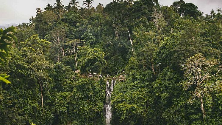 Hidden-Waterfalls.jpg