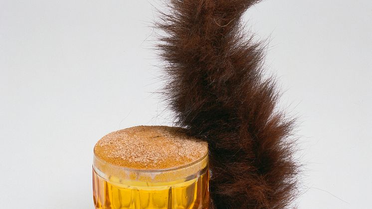 Meret-Oppenheim-Eichhörnchen-1969-Kunstmuseum-Bern©2020-ProLitteris-Zürich.jpg