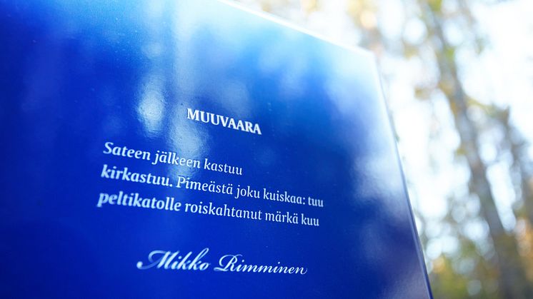 Mikko Rimminen - kuva Vilma pimenoff
