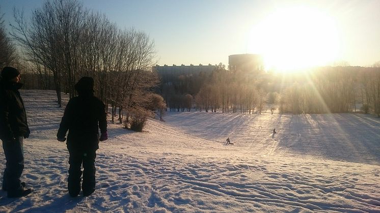 Vinter i Järva DiscGOlfPark