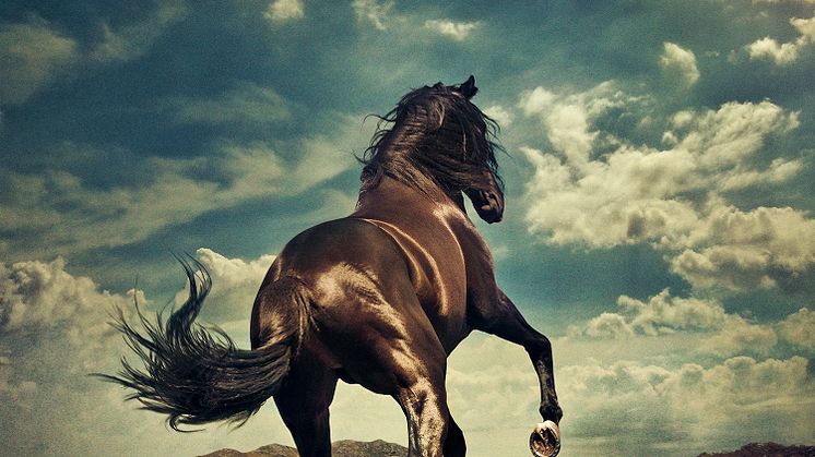 Bruce Springsteen släpper nya albumet "Western Stars" den 14 juni
