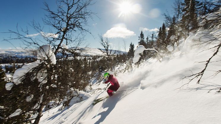 Puderåkning i Vemdalen