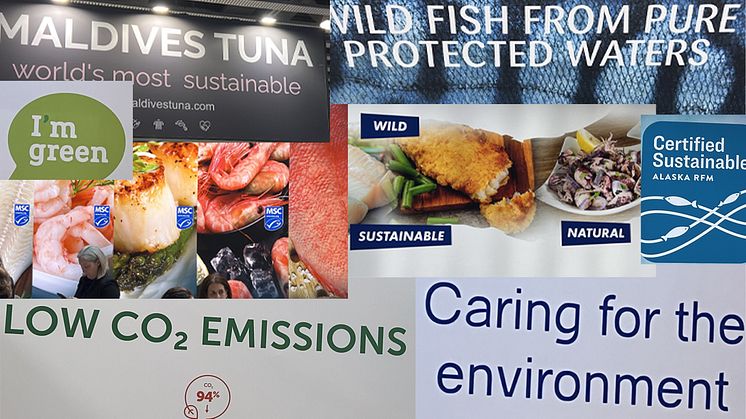 Bærekraftig sjømat: Mange sjømatprodusenter har forstått at bærekraft er viktig å formidle, men de glemmer å fremsnakke sjømaten som et viktig bidrag til sunnere mennesker og en friskere planet
