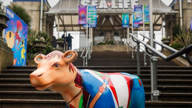 Cow-respondent travels on Thameslink