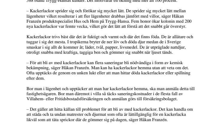 Dubbelt så många lägenheter invaderade av kackerlackor