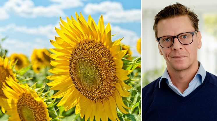 Carl Eckerdal, chefekonom Livsmedelsföretagen