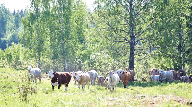 Ny ordförande, landsbygdsministerbesök och ett antal utmärkelser 