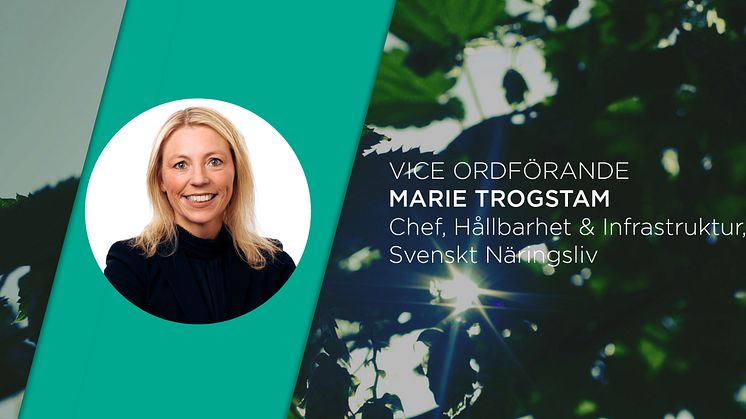 Marie Trogstam ny vice ordförande i ICC Sveriges Hållbarhetskommitté