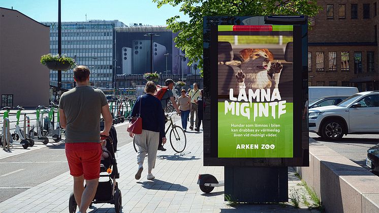 Hundar som lämnas ensamma i bilen kan drabbas av värmeslag - även vid molnigt väder
