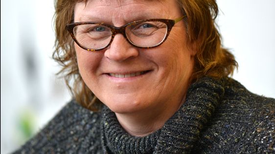 Internationellt forskningsprojekt undersöker hur skattelagstiftning motverkar jämställdhet