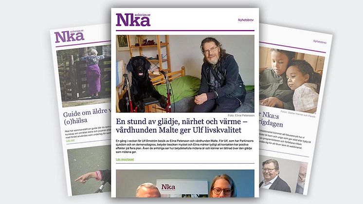 Nyhetsbrev nr 10 från Nka