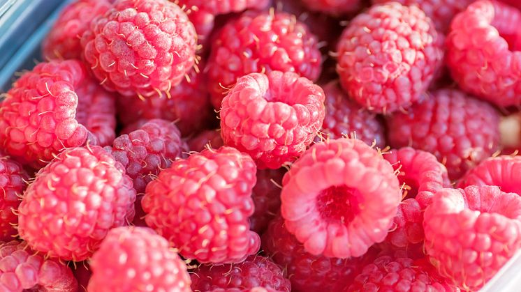 Kommentar till norovirus i importerade frysta hallon