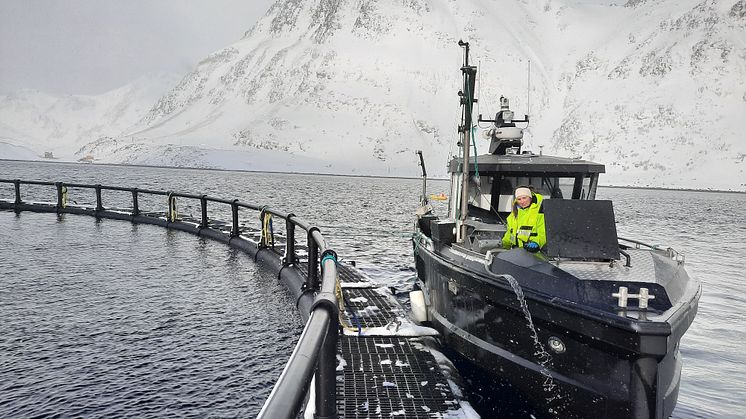 Vår egen feltbåt “MS Louise” gjennomfører prøvetaging for oppdrettsaktører