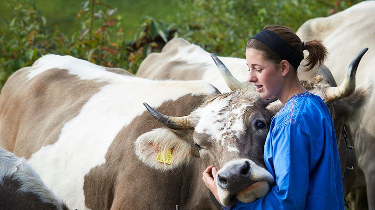 Alpspektakel Prättigau Graubünden Ferien_Stefan Schlumpf