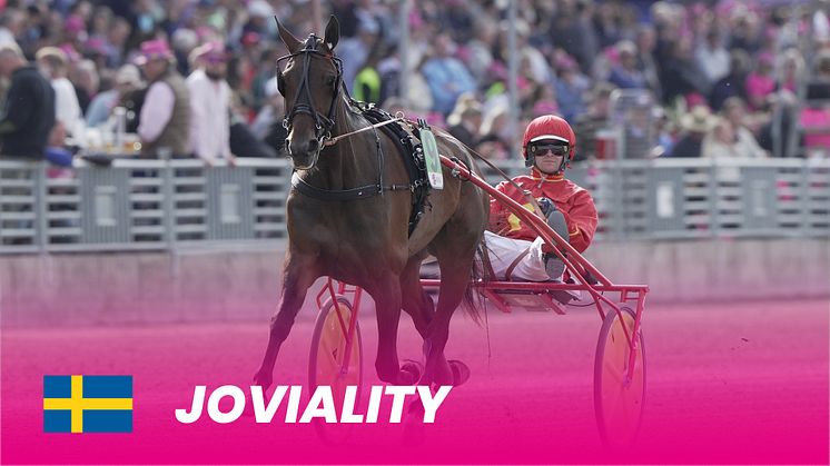 Joviality 1920X1080