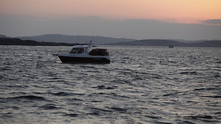 Hummerfiskare nordväst om Hyppeln i Göteborgs norra skärgård
