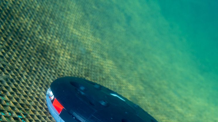 Probotic robot cleaning nets in fish farm (Photo: Probotic).