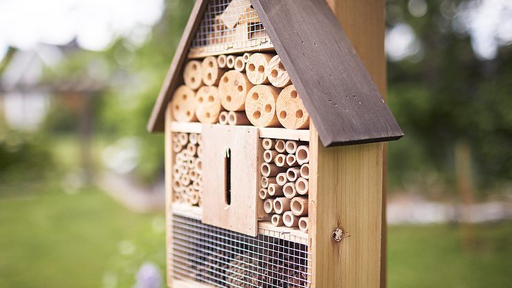 HSB Skåne satsar på pollinatörer och dagvattenhantering