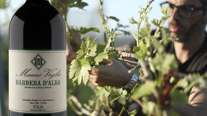 Mauro Veglio Barbera d´Alba 2021 – i butik 20 oktober! Njut av ungdomlig charm från Piemonte