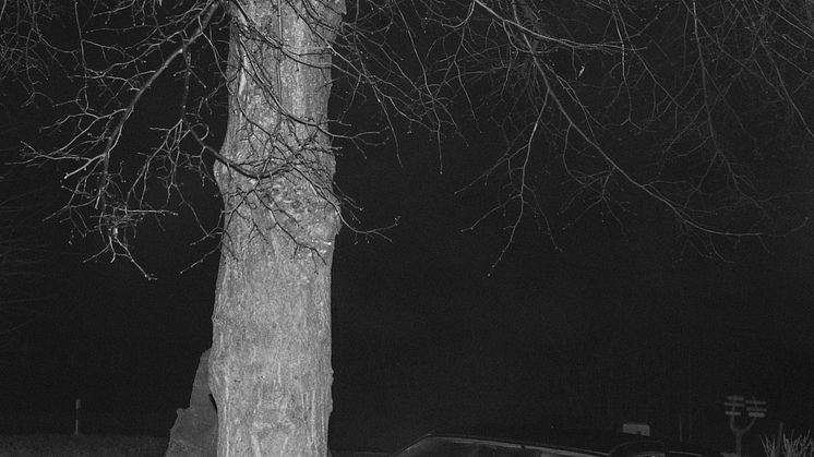 Julius von Bismarck, Unfall am Mittelpunkt Deutschlands #1, 2013, Fine art inkjet print, einladung-final