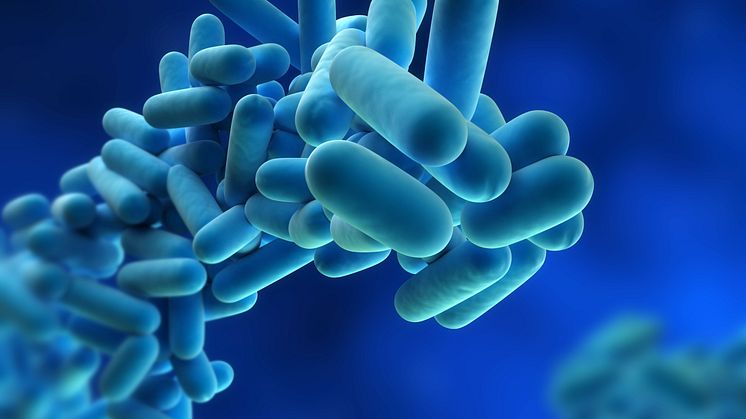 Legionellaanalyser Eurofins i Luleå