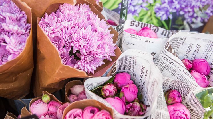 Allt från frön och sticklingar till blommor och krukväxter hittar du på marknaden