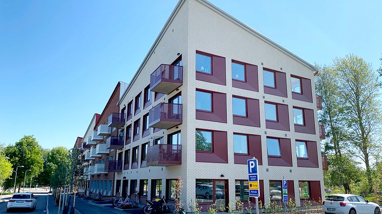 BevegoNytt_KG Hjelmgrens_bild_6.jpg