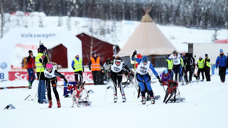 Drag high_Ulf_Gustafsson