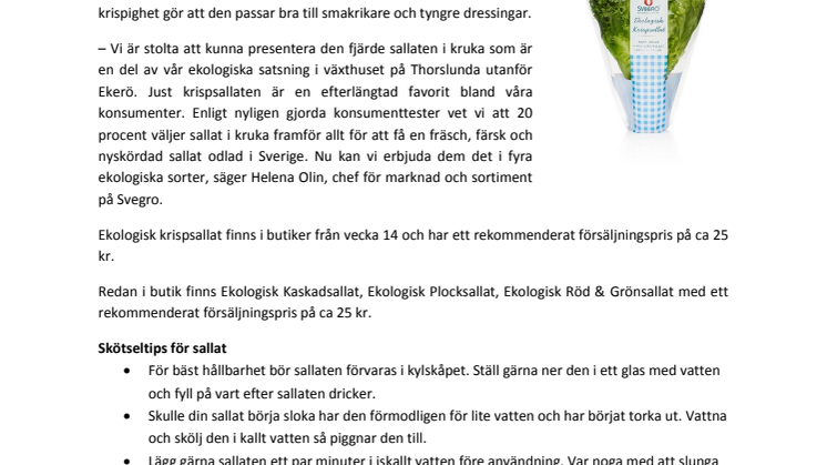 Ekologisk sallatskvartett i kruka nu komplett
