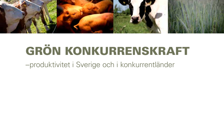 Grön konkurrenskraft 2013: Effektivt svenskt jordbruk har ändå svårt att konkurrera på världsmarknaden