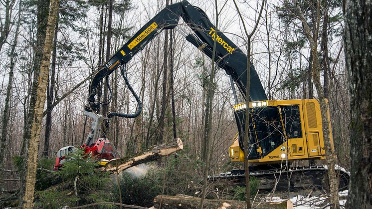 Tigercat H822D