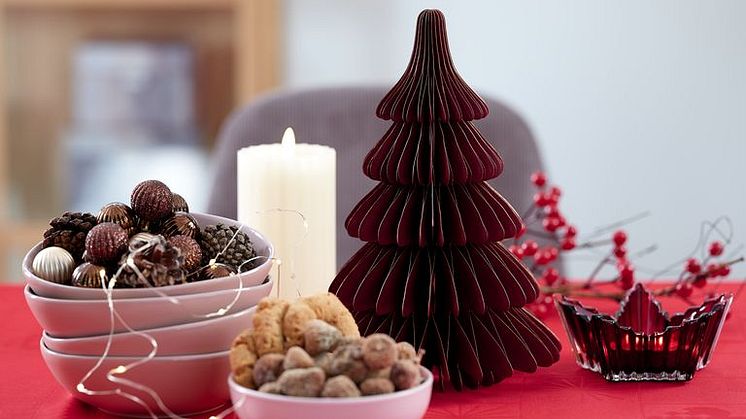 Christmas 2020 (10)